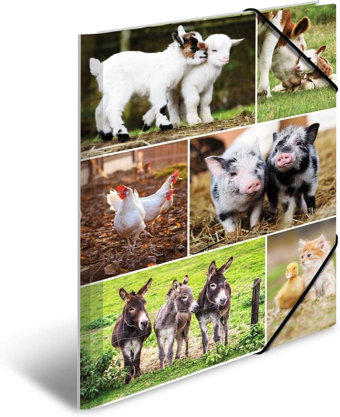 DIN A4 verzamelmap met boerderijdieren thema - Stevige kartonnen documentenmap met elastiek voor kinderen