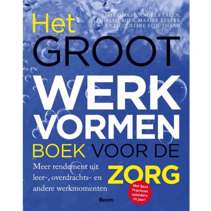 Het Groot Werkvormenboek Voor De Zorg - Sasja Dirkse