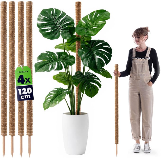 Cande kokosplantenstok 120 cm potsteun 4 st.
