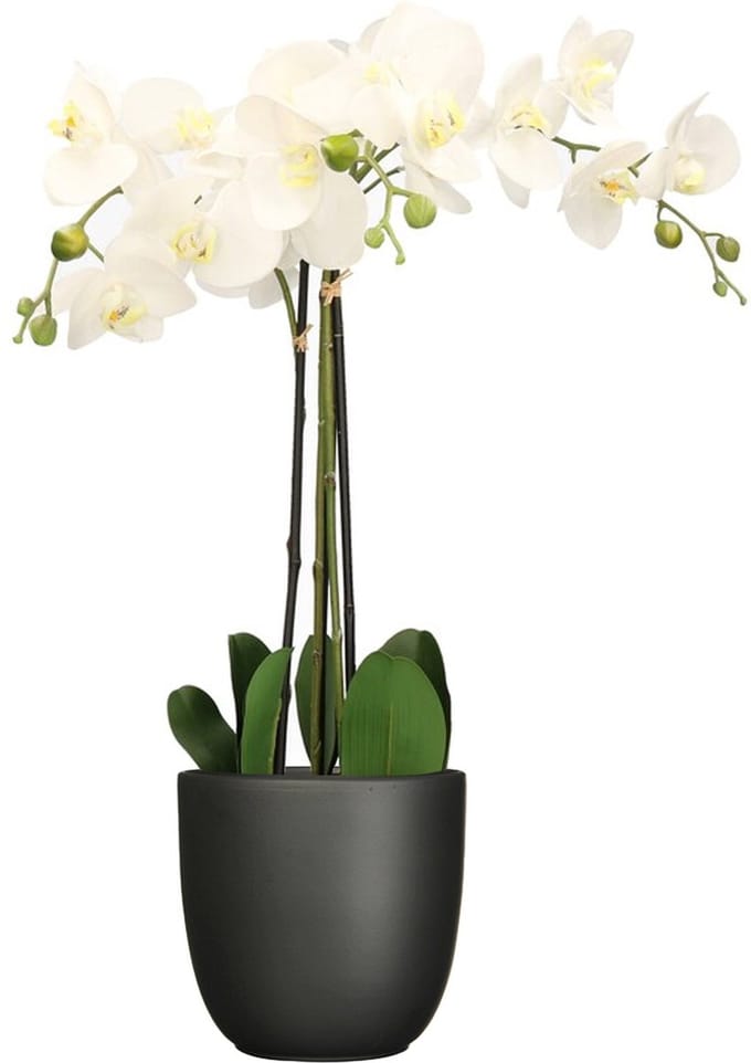 Orchidee kunstplant wit - 75 cm - inclusief bloempot zwart mat - Kunstbloemen in pot
