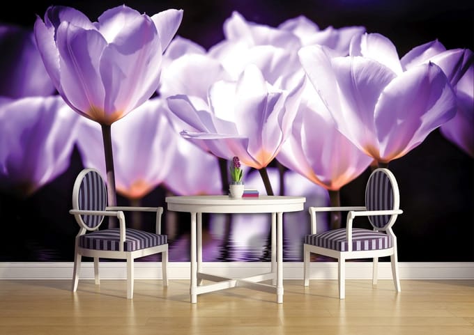 Flowers Poppies Photo Wallcovering