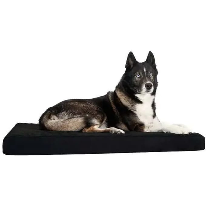 Traagschuim matras Back on Track XL