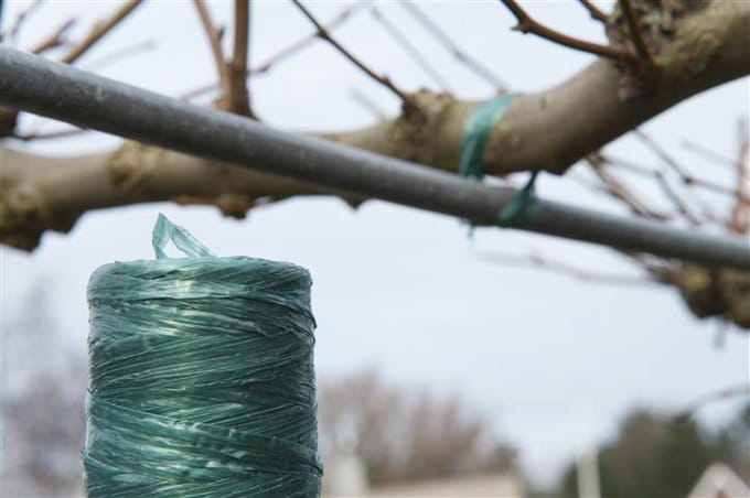 Kunststof Raffia Groen 100g 400m