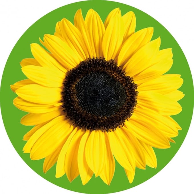 Bierviltjes zonnebloem 10 st - onderzetter viltjes