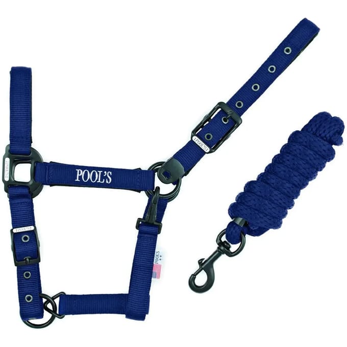 Nylon halster voor paard met leer Pool's