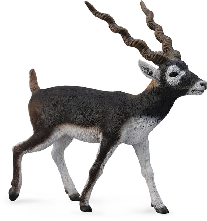 COLLECTA Figurine - Antiloop Zwarte Bok - (L)