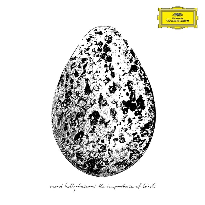 Snorri Hallgrímsson - The Importance Of Birds (LP)