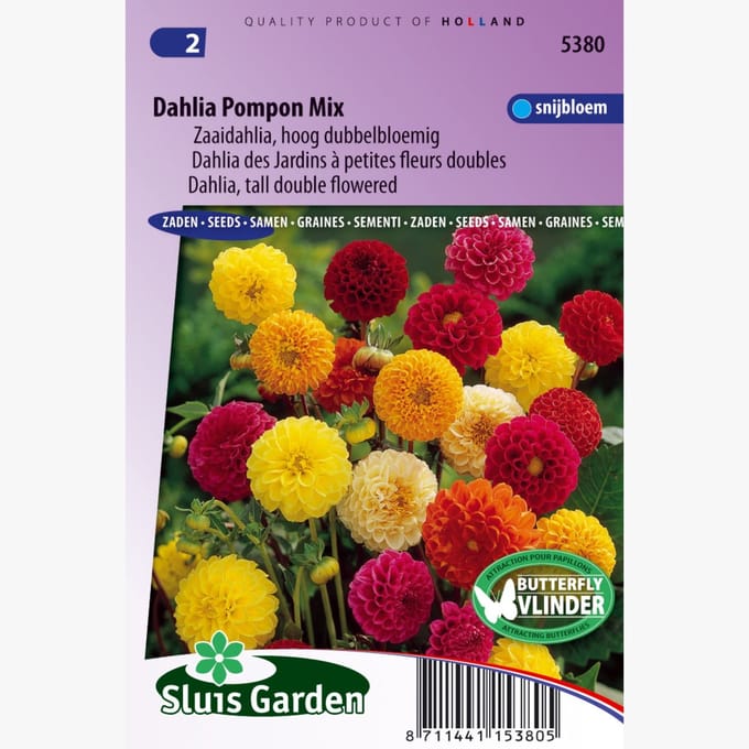 Sluis Garden - Dahlia Pompon Mix
