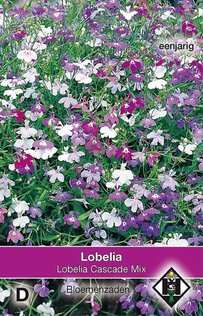 2 stuks Van Hemert & Co Lobelia pendula Cascade Mix