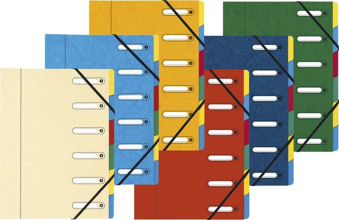 Exacompta 8x Sorteermap HARMONIKA® met elastieken en uitgesneden vensters- in glanskarton - 6 indelingen - Geassorteerd - 5306E