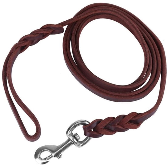 Wandelparcel voor honden - duurzame leer, 1,2m