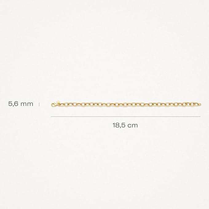 Blush Armband 14kt Goud 2255YGO