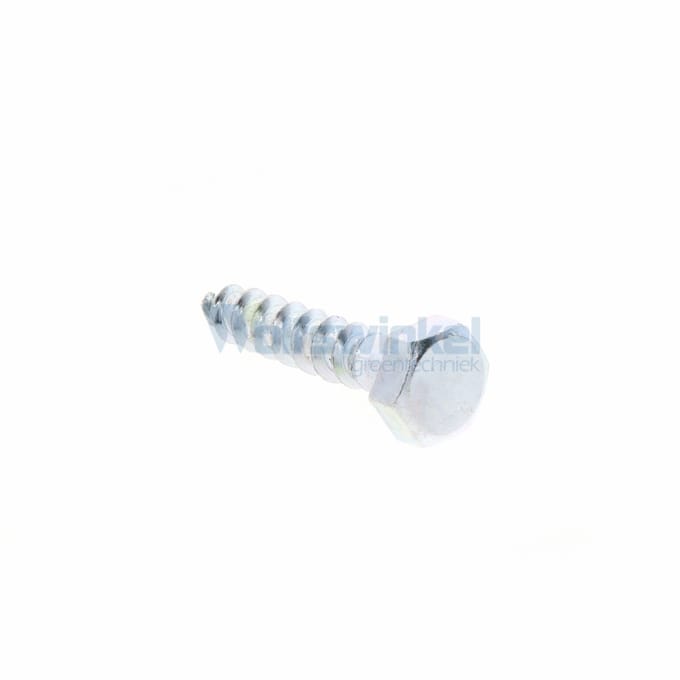 Hoenderdaal houtdraadbout gegalvaniseerd 10 x 50 mm din 571 - doos à 100 stuks