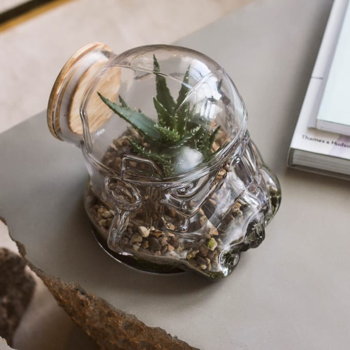 Star Wars Originele Stormtrooper Terrarium