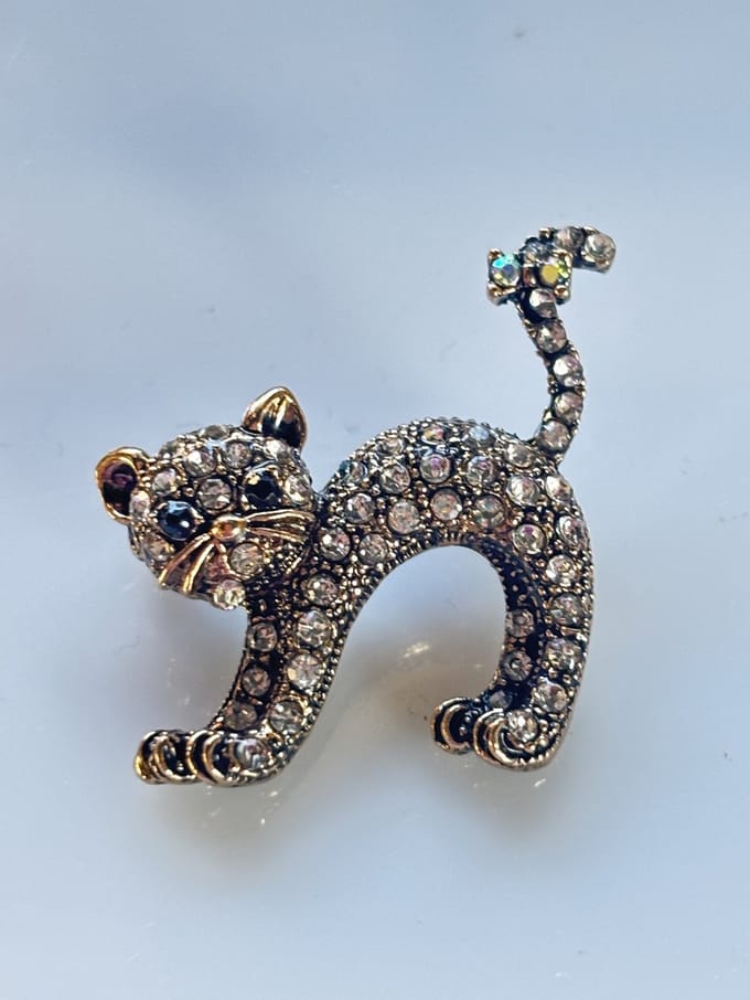 Vibe - broche - kat - doorzichtig - zilver - juweel - geschenk - accessoires - verjaardag