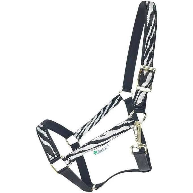 Bucas Halster Dublin Zebra - veulen