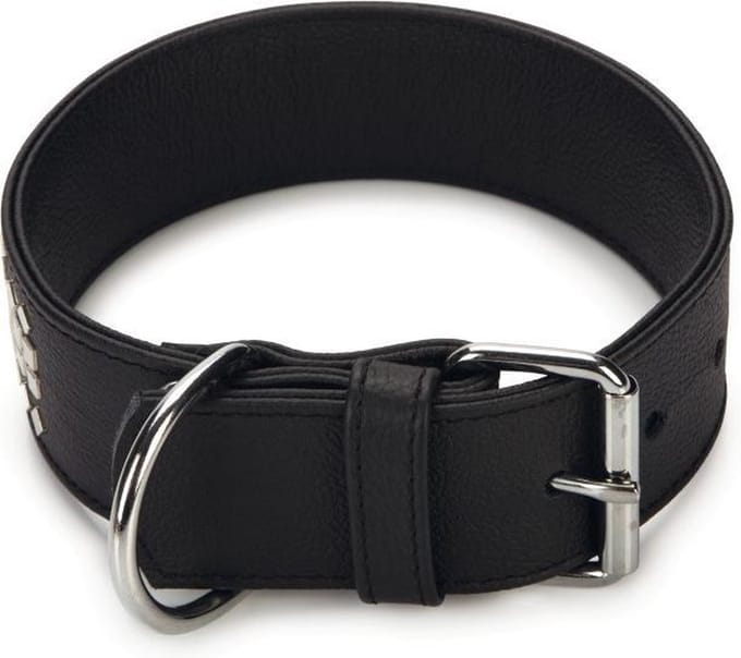 Beeztees Vintage - Hondenhalsband - Zwart - 43,5-49,5 cm x 50 mm
