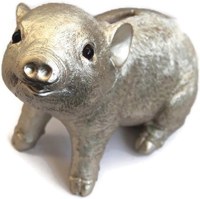 Spaarvarken in Parelmoerkleuren - Schattig Varkentje voor Cadeaus