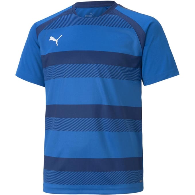 Puma Kinder TeamVision T-Shirt (Blauw/Wit)