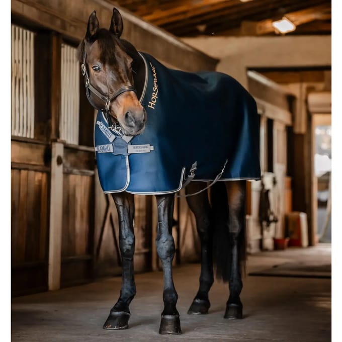 Outdoor paardendeken Horseware Rambo Airmax