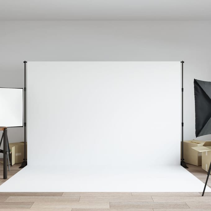 vidaXL - Achtergrondstandaard - 305x243 - cm - staal - zwart