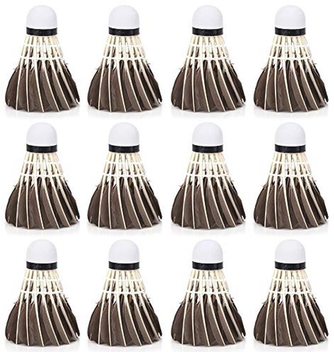12 Professionele Badminton Shuttlecock Set - Herbruikbare Veerballen voor Beginners en Training