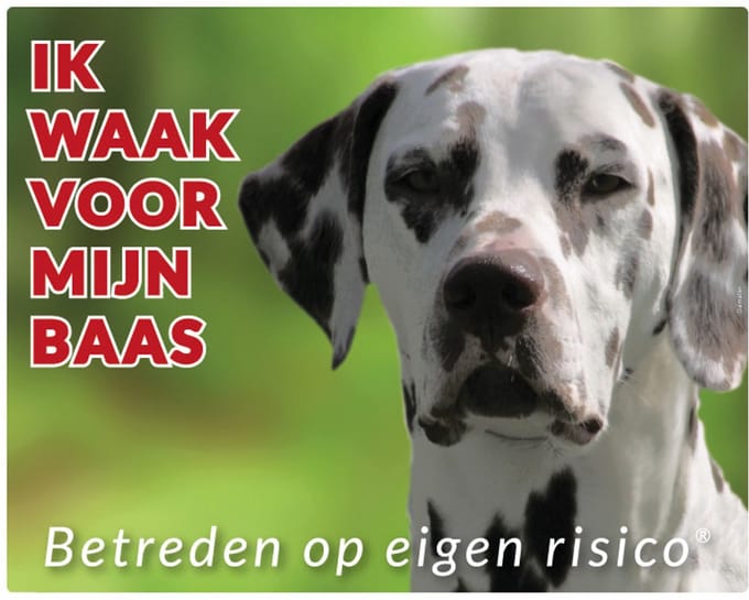 Dalmatier Waakbord - Ik waak voor mijn baas