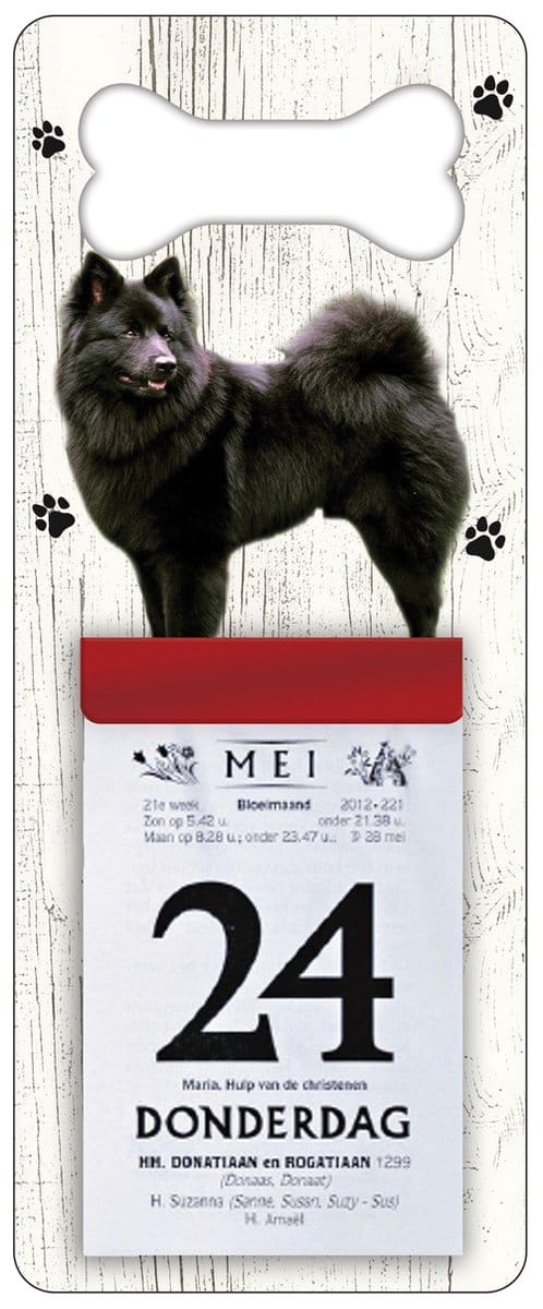 Scheurkalender 2027 Hond: Keeshond