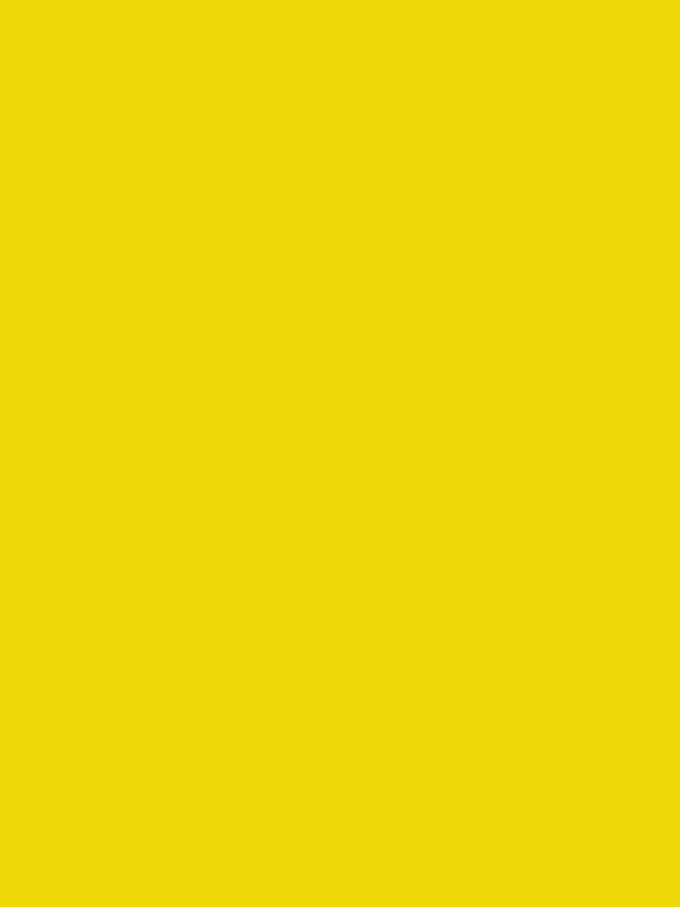 Vlag Temse 200x300cm