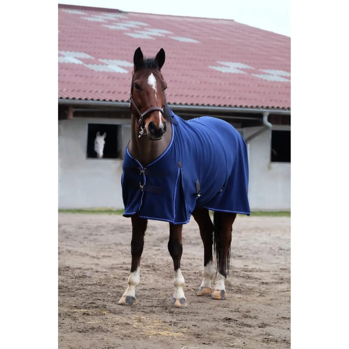 Paard fleece shirt Equithème Classic
