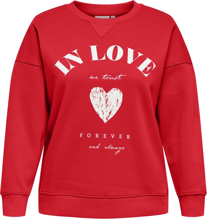 ONLY Carmakoma Sweatshirt CARSOFIA Sweatshirt