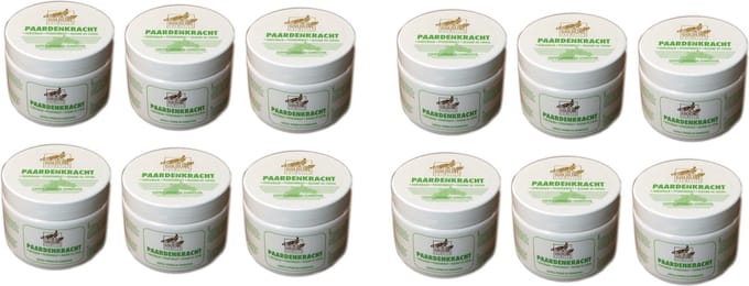 GOLDLINE PAARDENKRACHT 12 X 250 ML