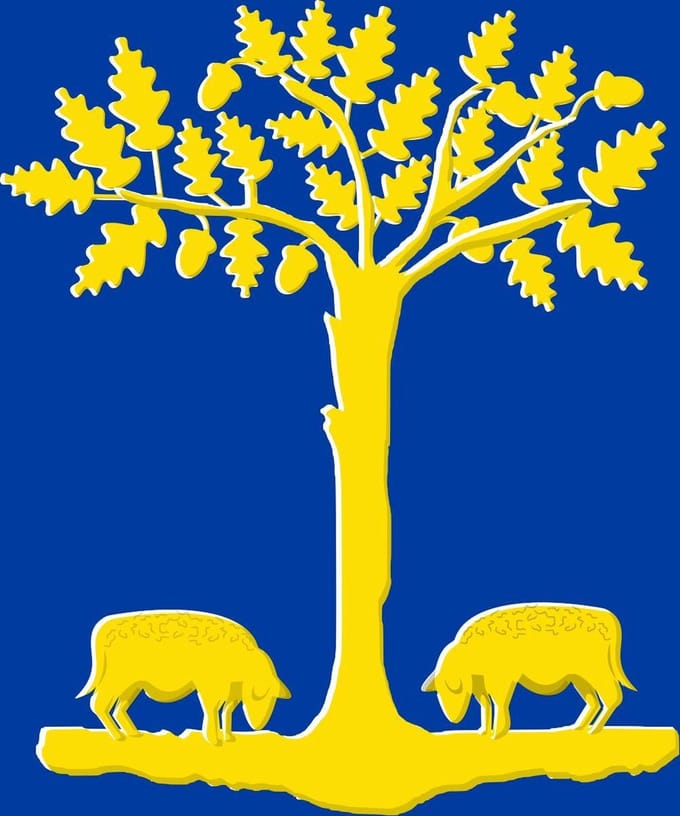 Vlag Lommel 100x150cm