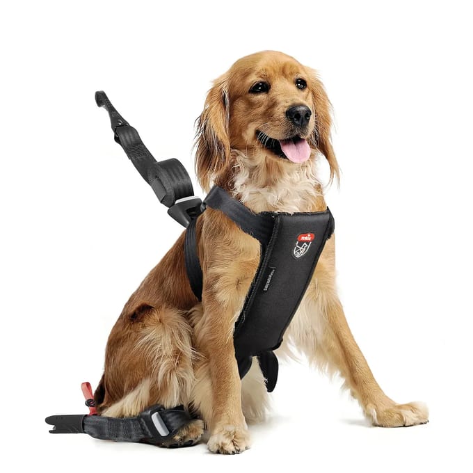 Veiligheidsharnas voor honden Zolux Travel
