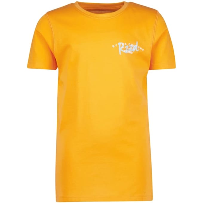 RAIZZED Boys Sunray T-shirt Fruit Orange Maat: 2 | T-Shirts Outlet | Unisex | Bruin
