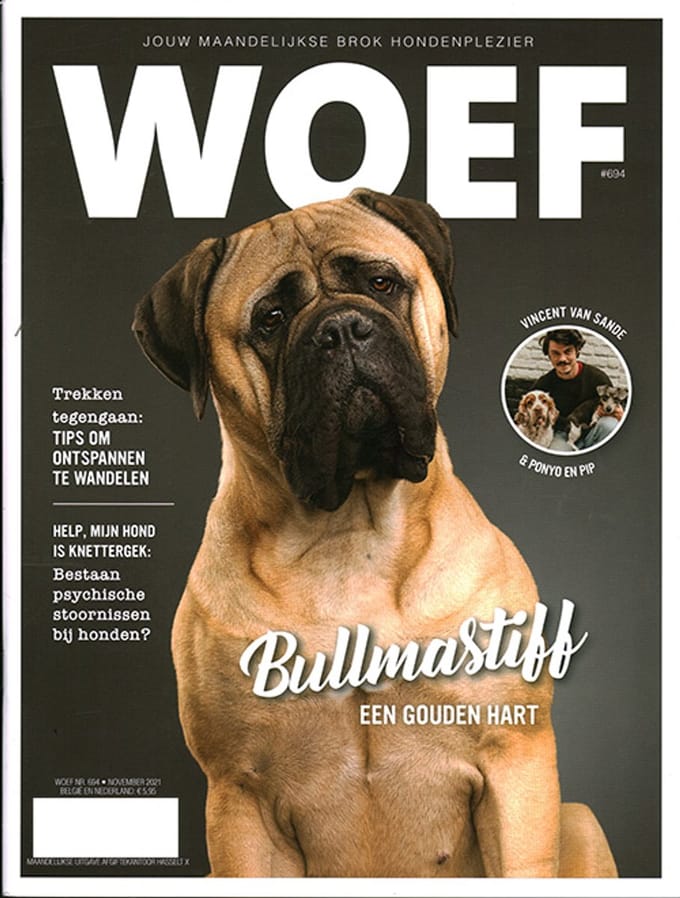 Woef - 694 2021