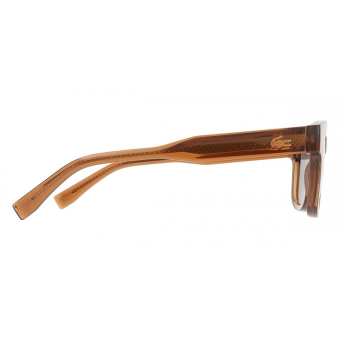 Lacoste L6023S Brown 49/21/145 UNISEX Zonnebrillen