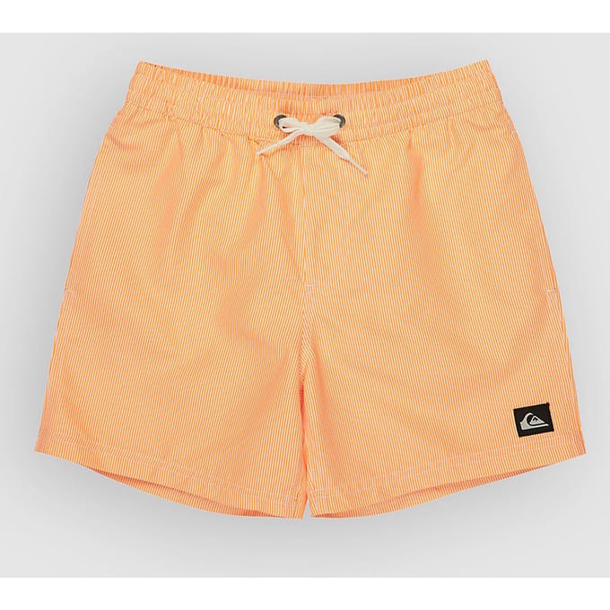 Quiksilver Everyday Deluxe Volley 14 Kids Boardshorts geel