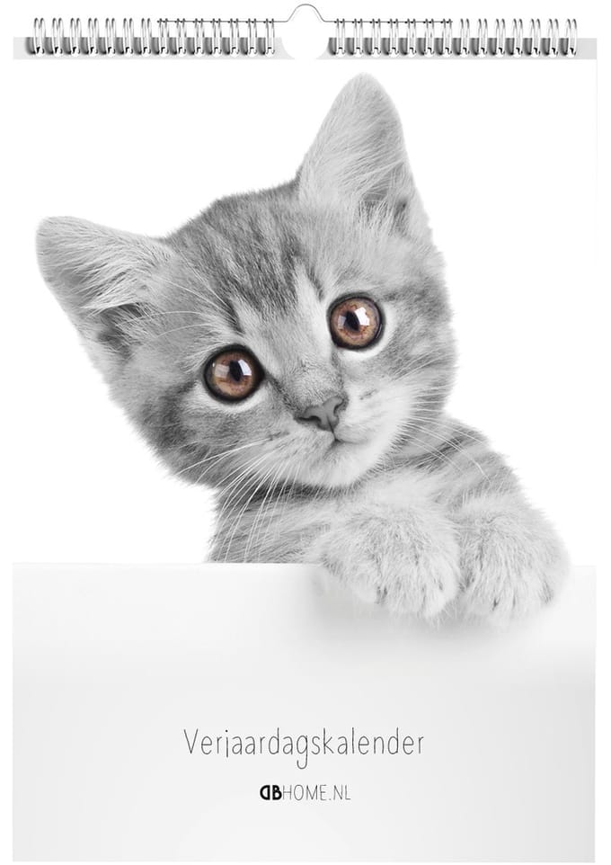Kalender Kittens Z/W