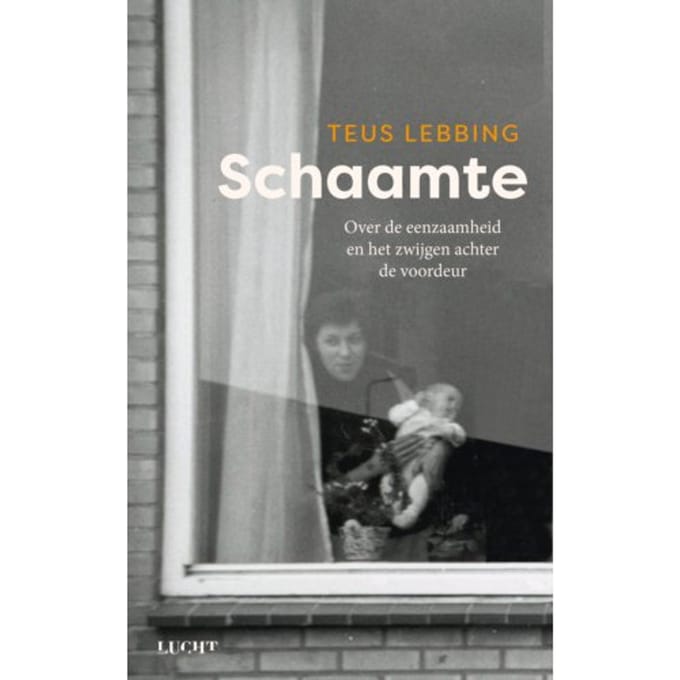 Schaamte - Teus Lebbing