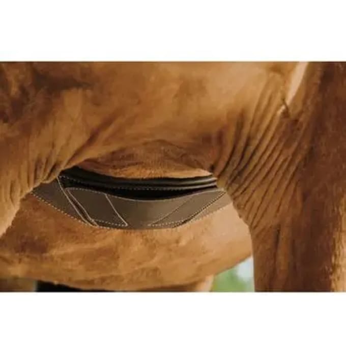 Paardensingel Norton Magnet