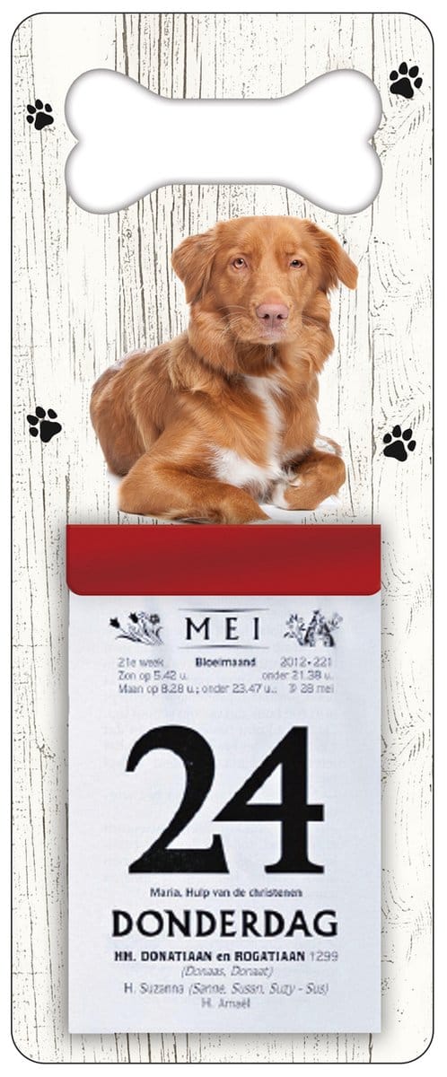 Scheurkalender 2027 Hond: Nova Scotia Duck Tolling Retriever