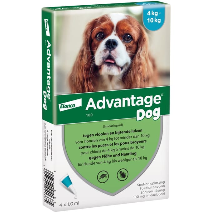 4 Pipetten Advantage 100 voor honden van 4-10kg - BE
