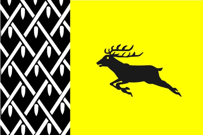 Vlag Nunspeet 30x45cm