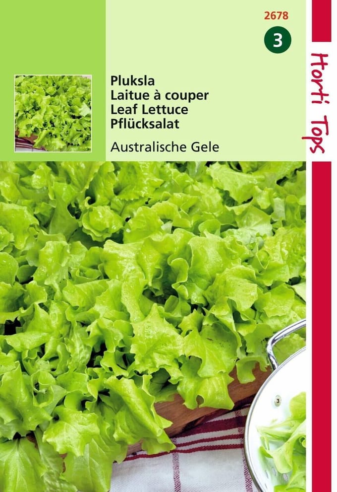 2 stuks Hortitops Pluksla Australische Gele