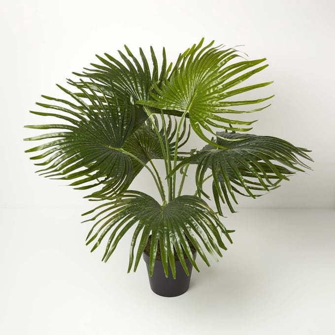 Homescapes kunstpalm in pot, waaierpalm, 80 cm