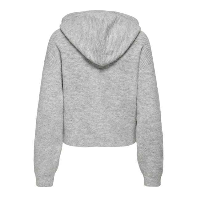 Jacqueline de Yong Lumi life l/s hood pullover