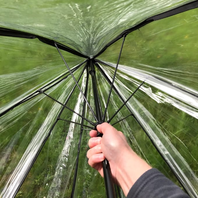 Plant paraplu - cloche - gardenSkills - plantbescherming