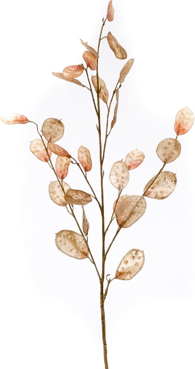 Emerald - Kunstbloem Judaspenning 105cm bruin - Kunstplant voor binnen