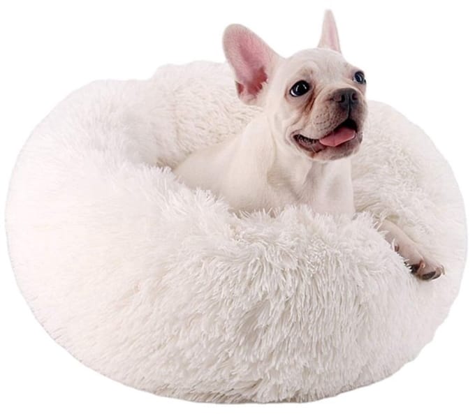 Dierenmand Jenny Wit, M